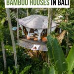 31 Magical Bamboo Houses in Bali You Can Actually Book