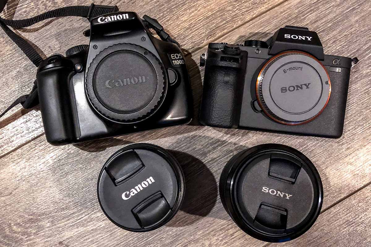 Canon EOS 1100D vs Sony Alpha 7II