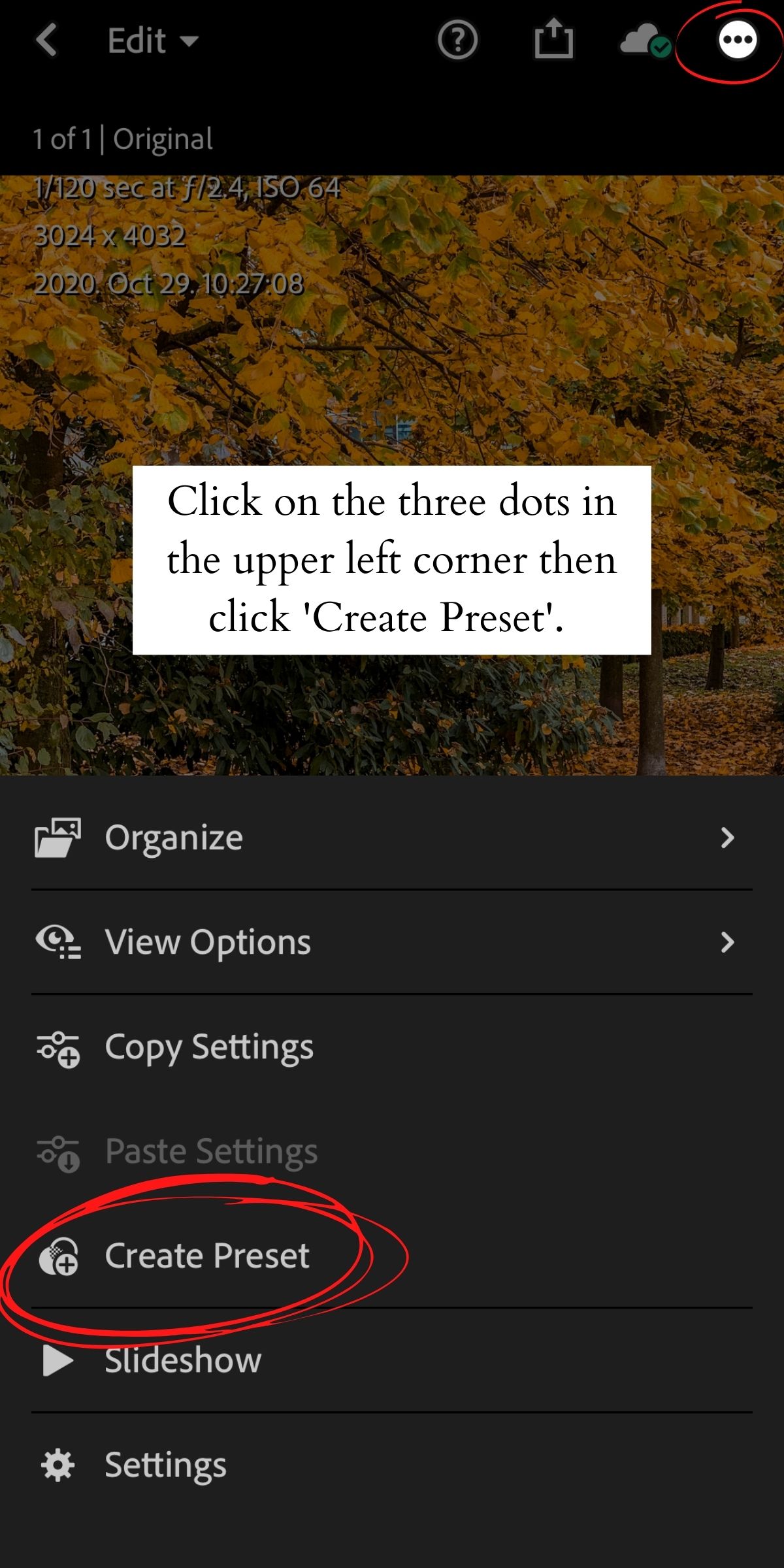How to Install Lightroom Presets on Mobile 12