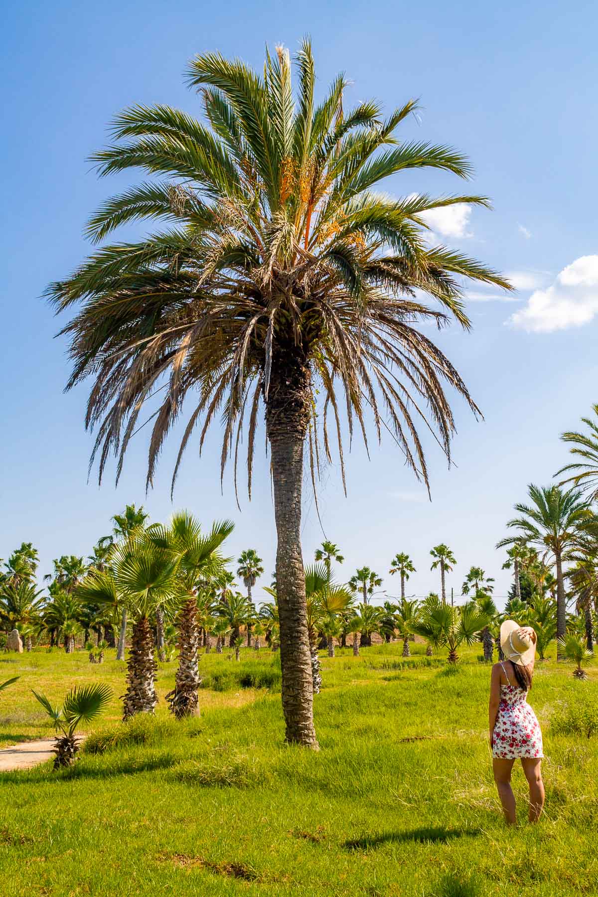 Girl standing in front of a tall palm tree at Botanicactus in Mallorca