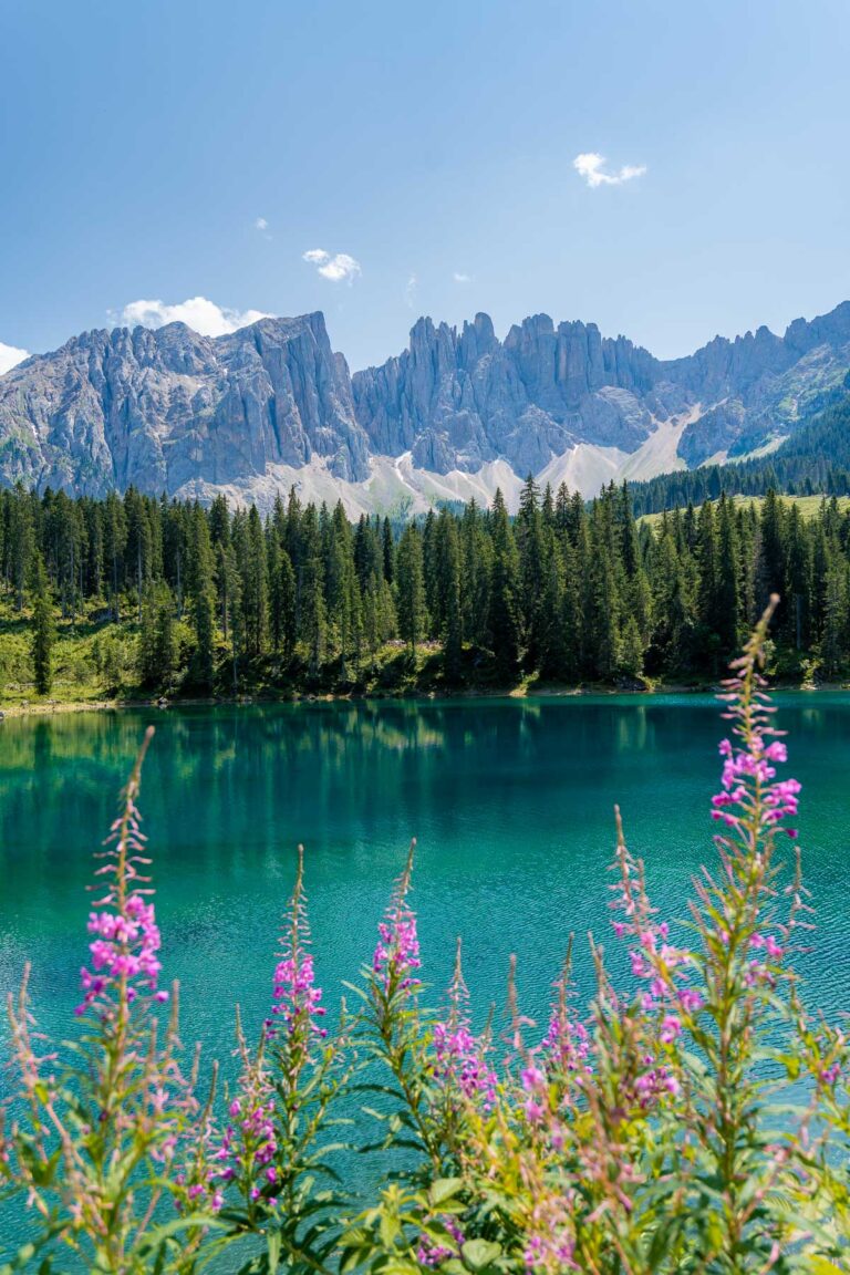 A vibrant view of Lago di Carezza with purple wildflowers in the foreground, the still green waters reflecting the dramatic mountain range and forest in the background.