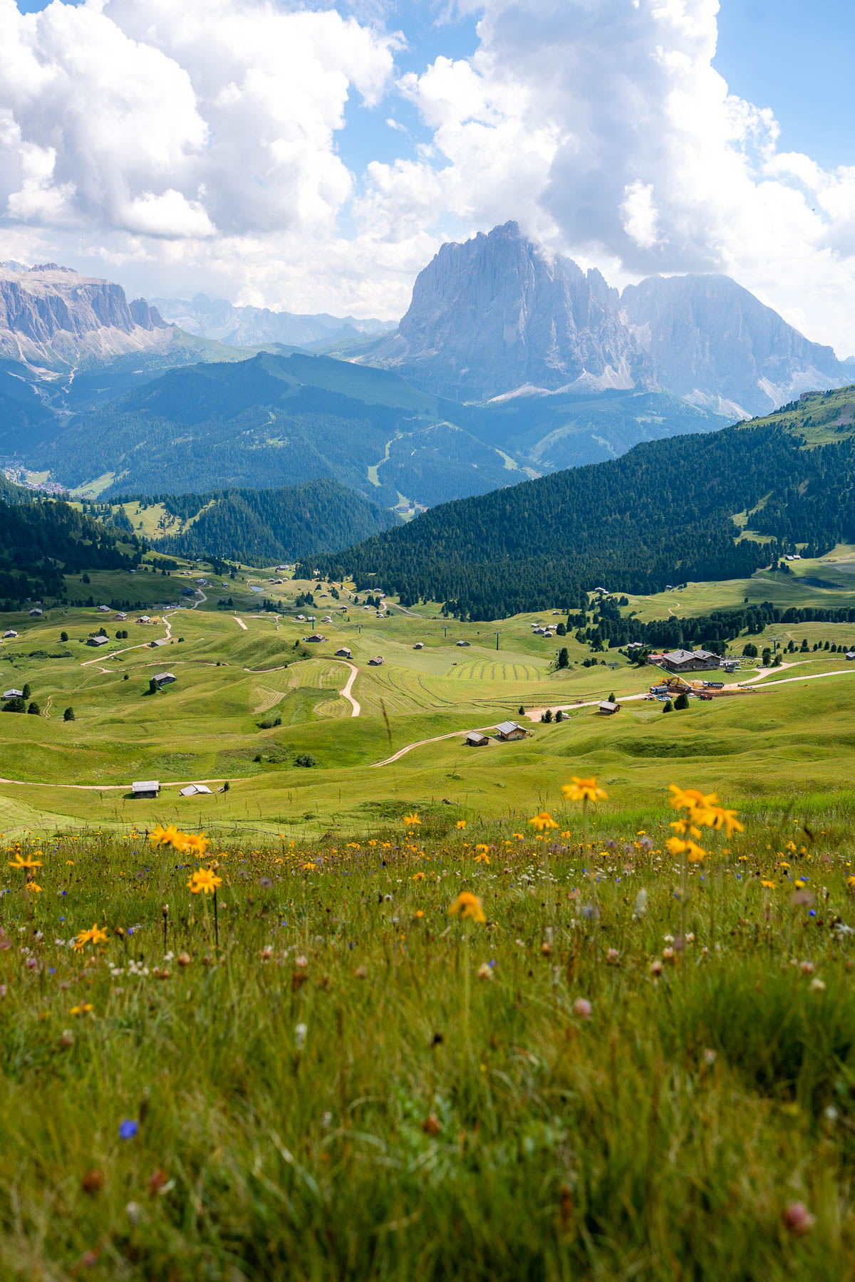 View across the rolling meadows of Seceda in the Dolomites, with wildflowers in the foreground, scattered alpine huts below, and the Sassolungo group rising in the distance under a partly cloudy sky.