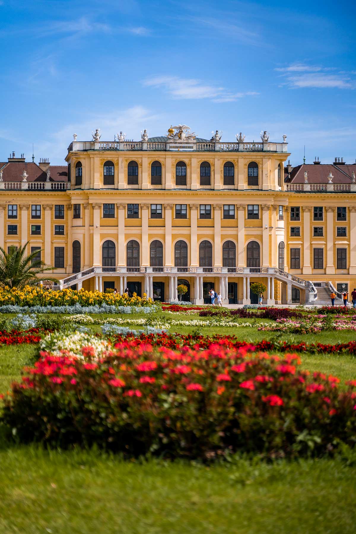 Schönbrunn Palace in Vienna with red flowers in the foreground