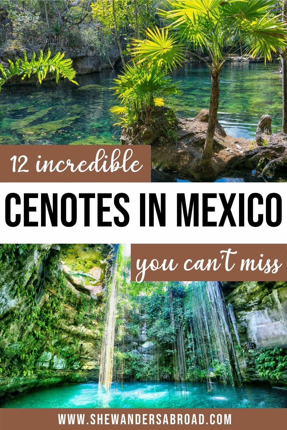 12 Best Cenotes in Yucatan You Can't Miss