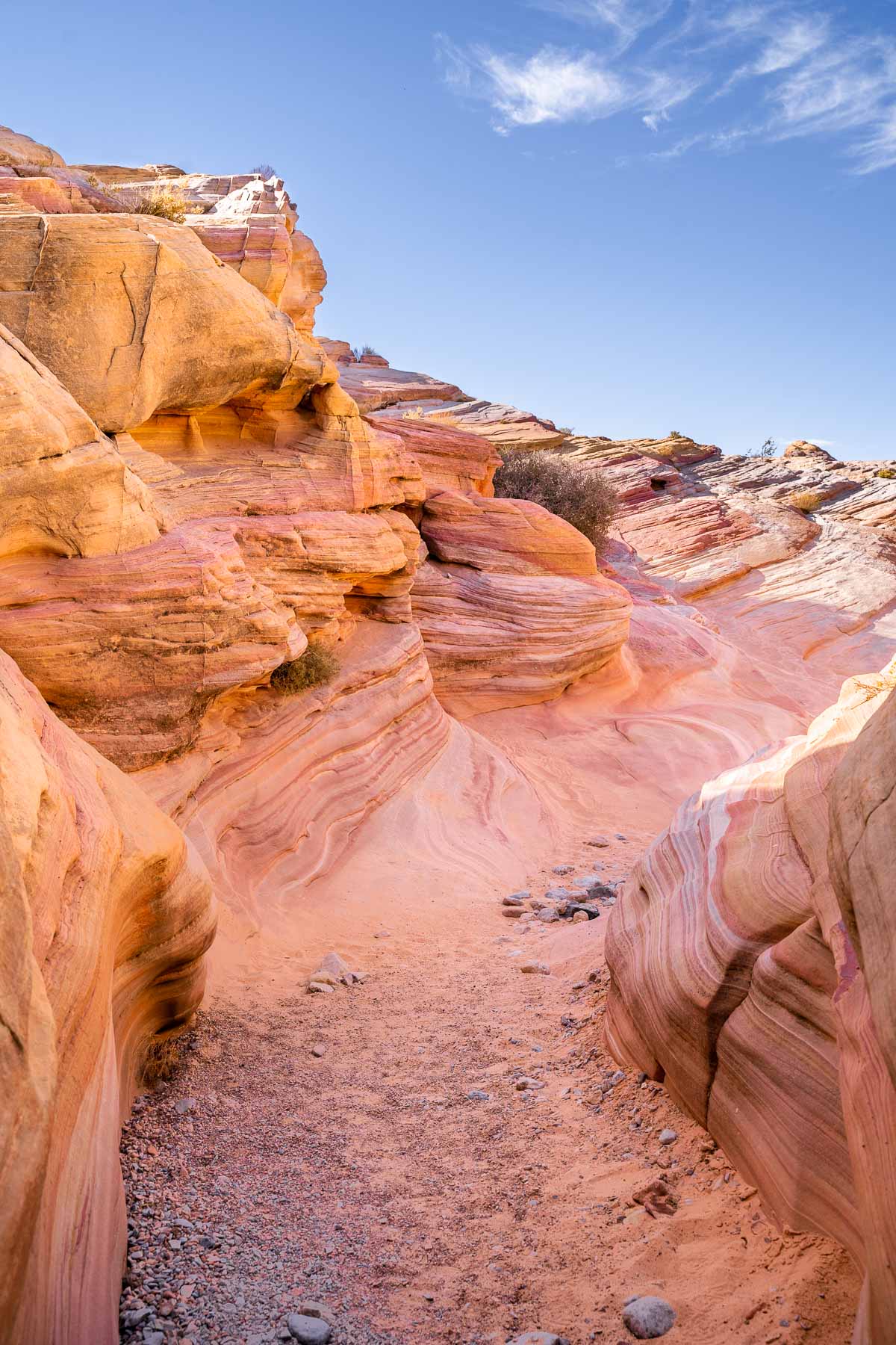 Pastel Pink Canyon in Valley of Fire State Park