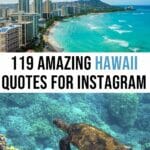 119 Hawaii Captions for Instagram