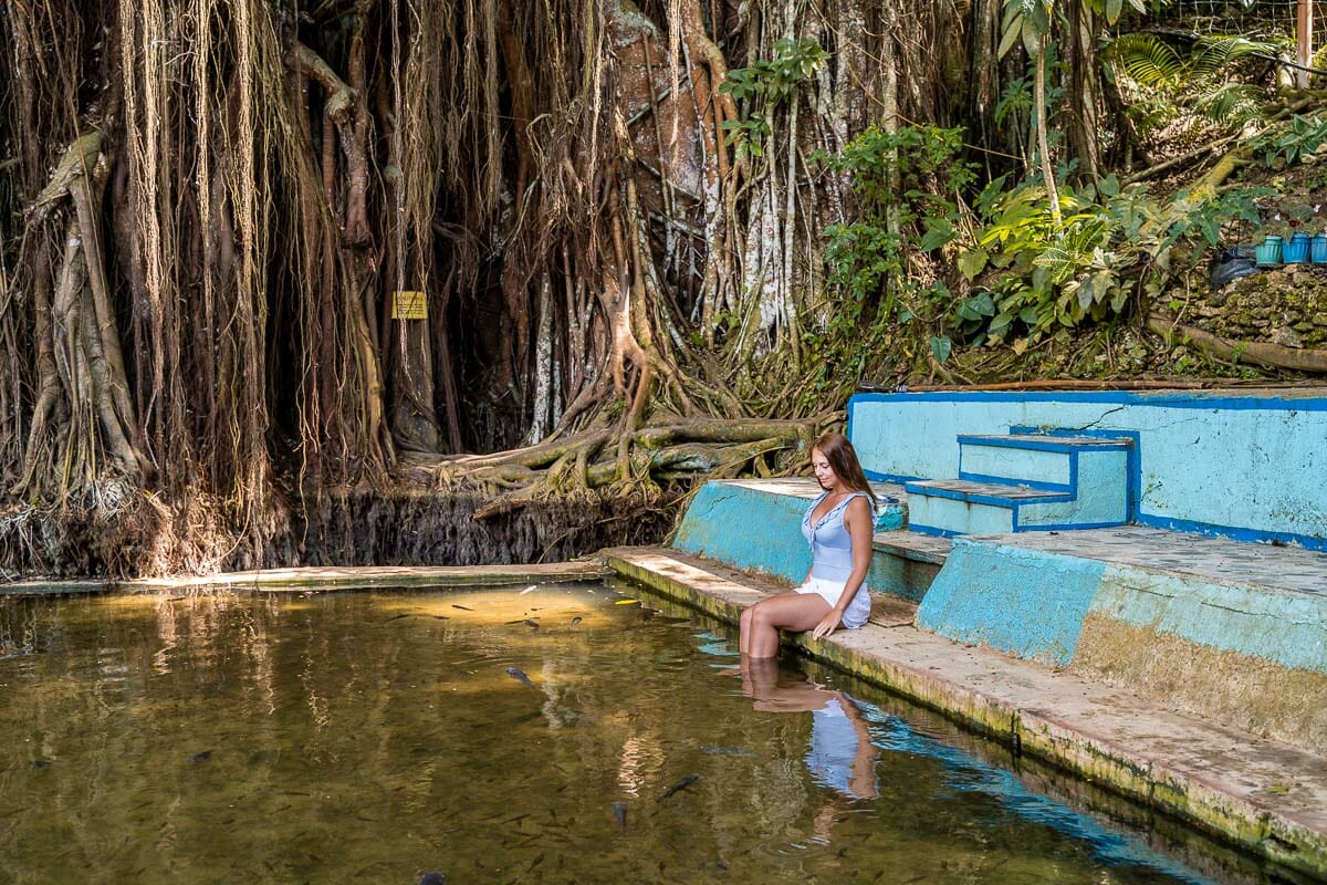 Girl sitting at the fish spa next to the Old Enchanted Balete Tree in Siquijor