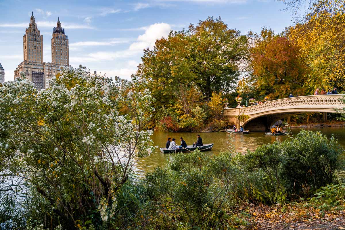 Bow Bridge in Central Park during fall