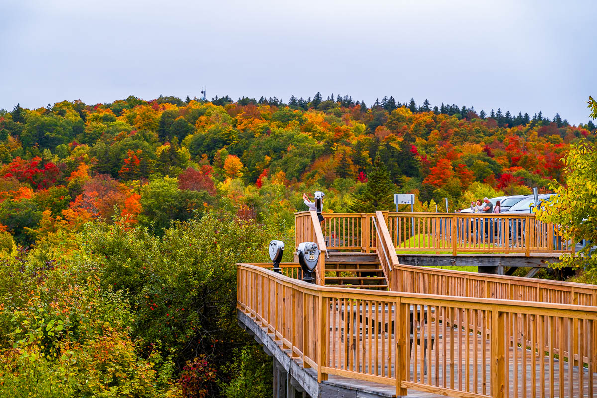 Fall foliage viewpoint in Vermont