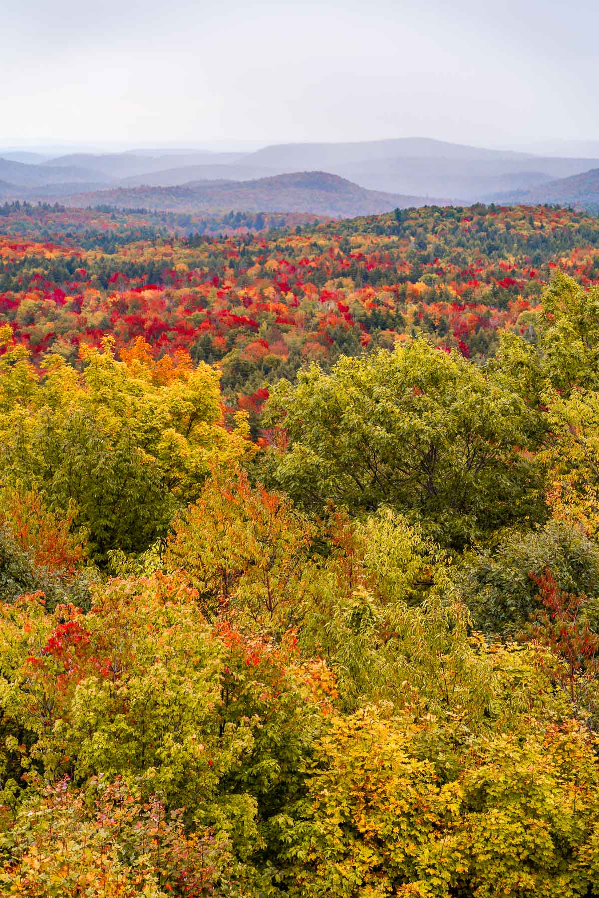Foliage viewpoint Vermont