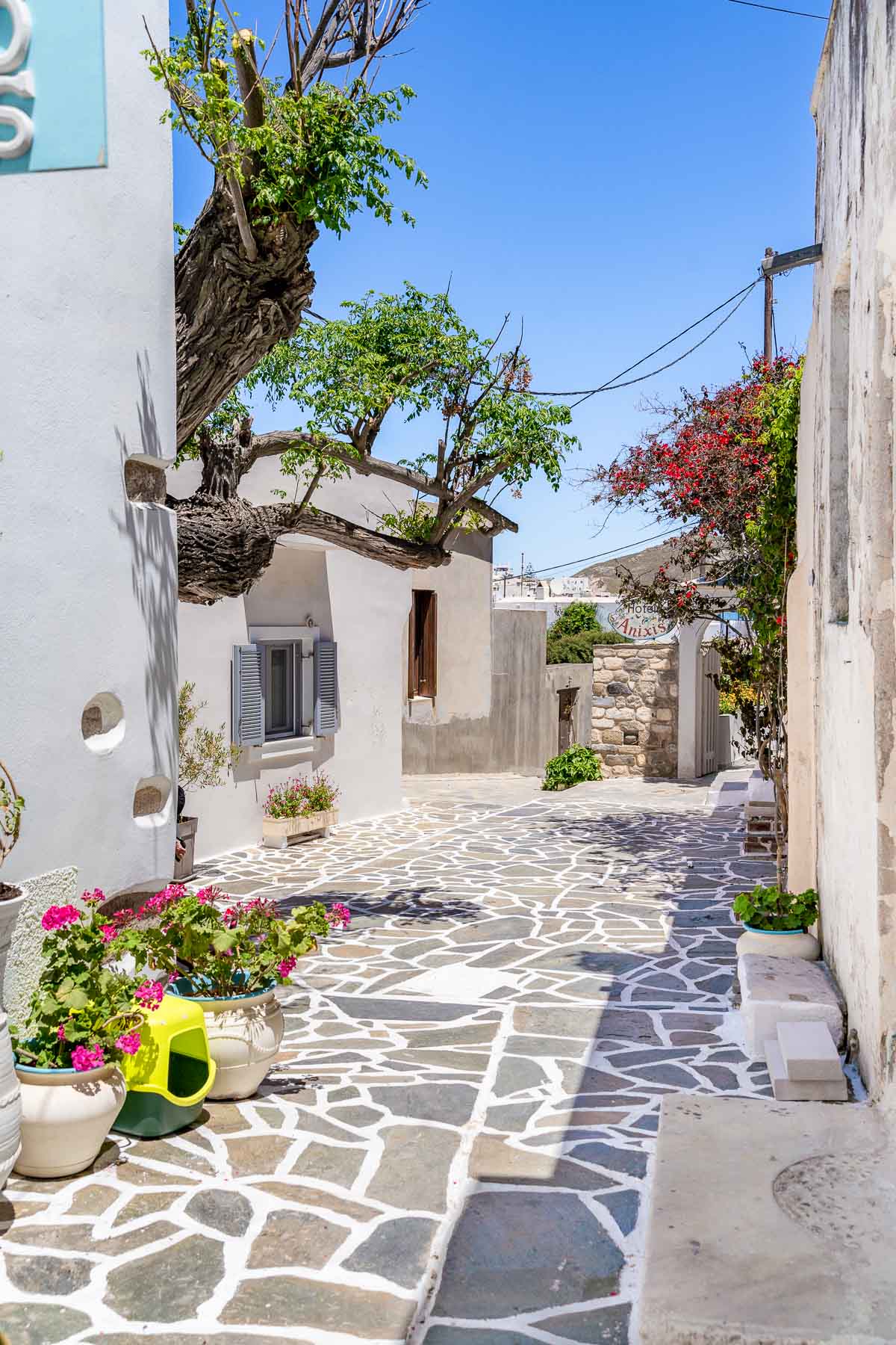 tourism naxos