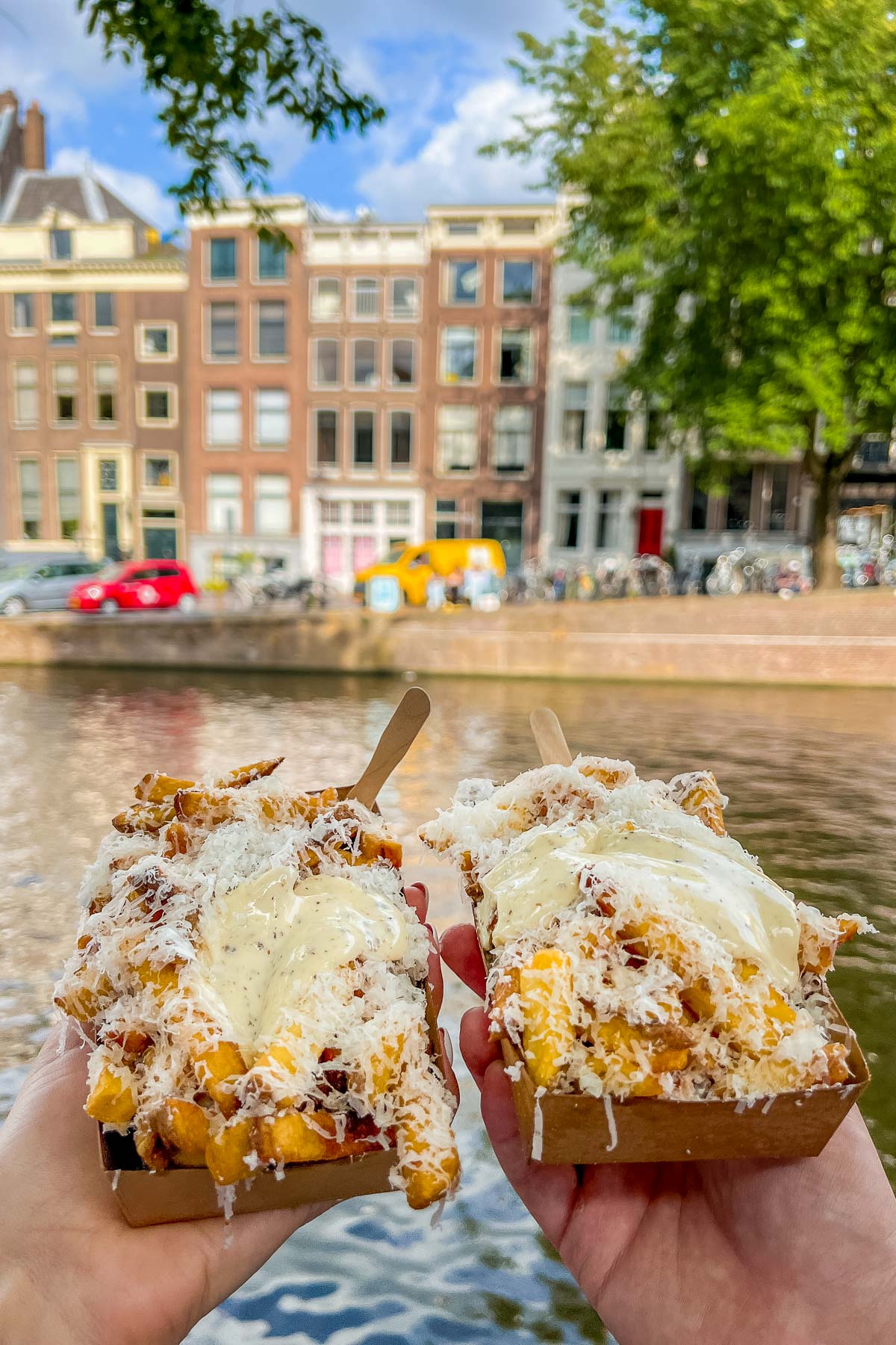 Fries from Fabel Friet Amsterdam