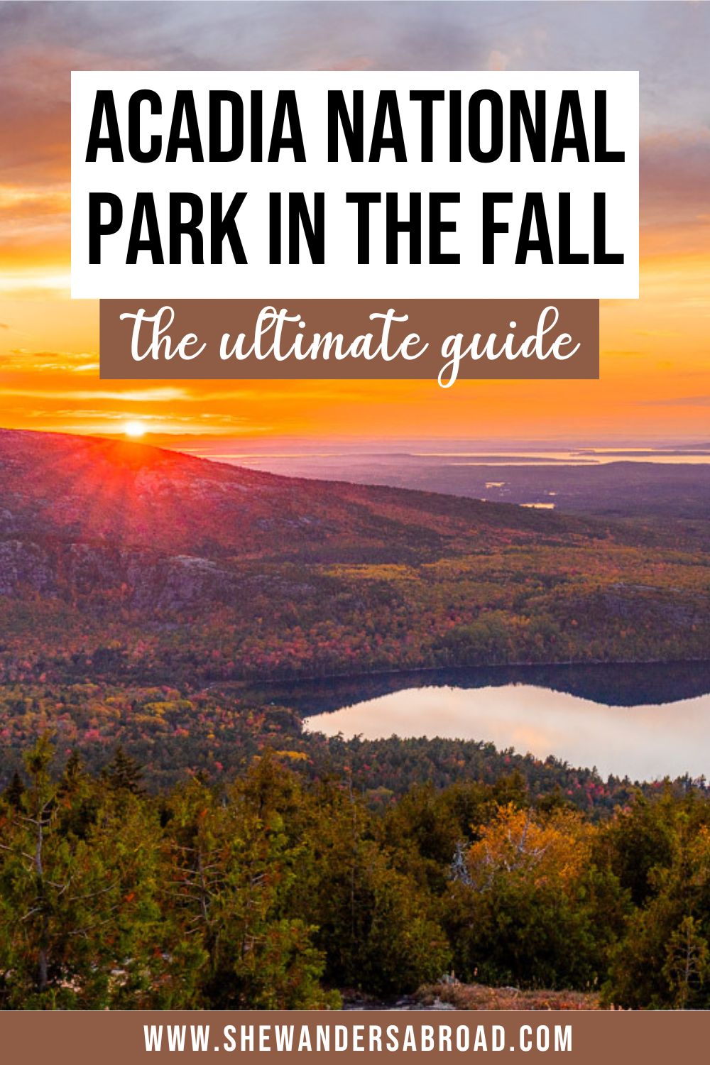 Acadia National Park in the Fall: Practical Info & Tips for Visiting