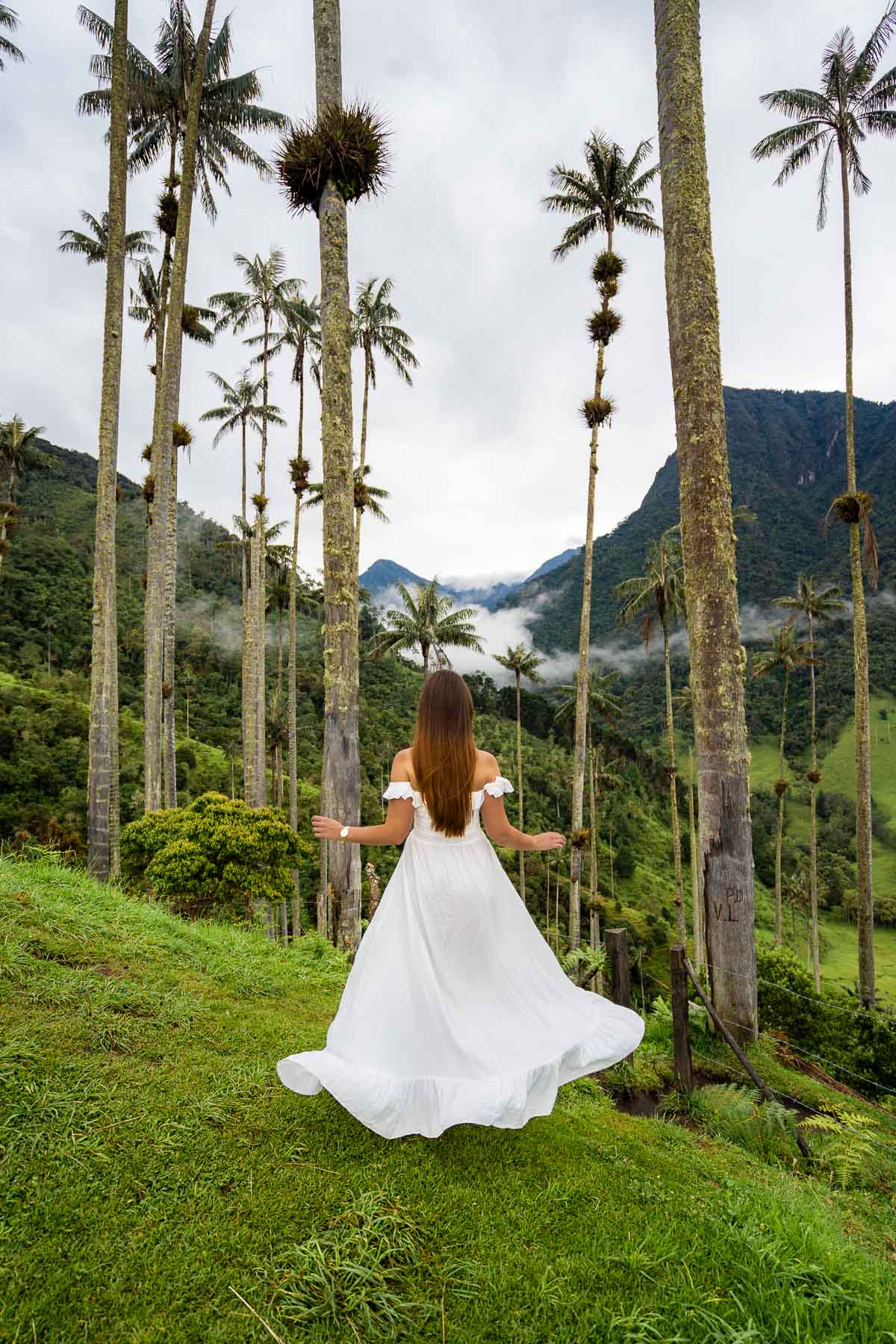 Girl in white dress among the huge wax palm trees in the Cocora Valley