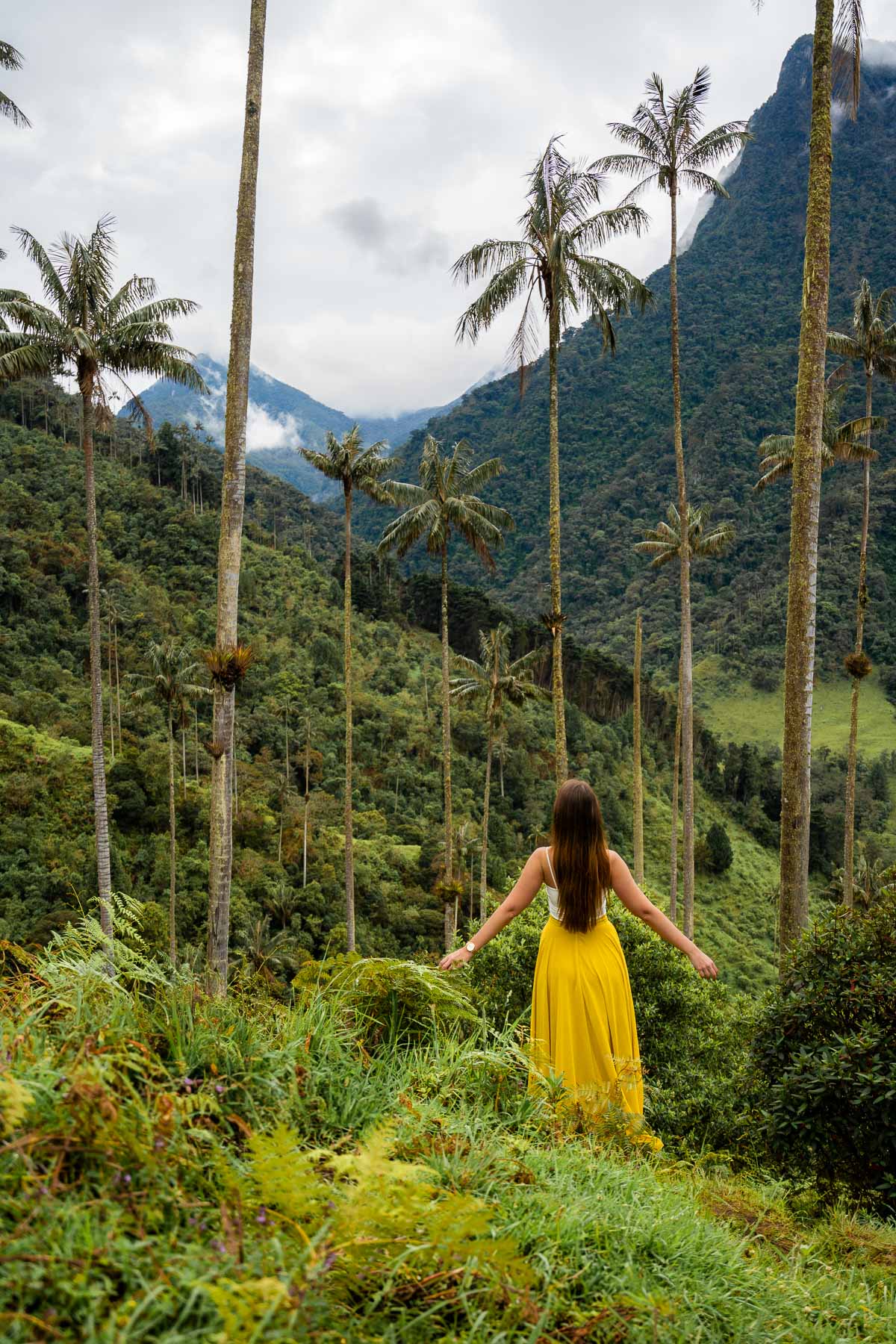 Girl in yellow dress among the huge wax palm trees in the Cocora Valley