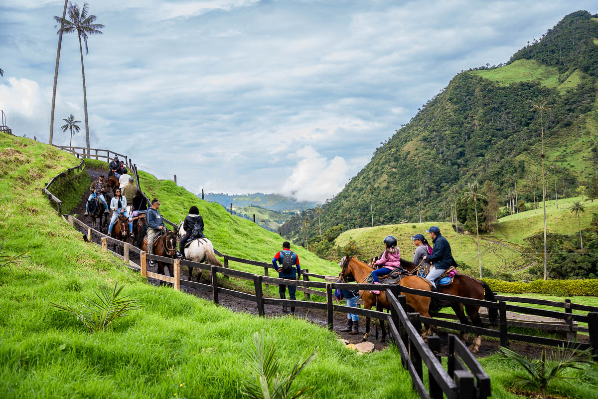Horseback riding in the Cocora Valley