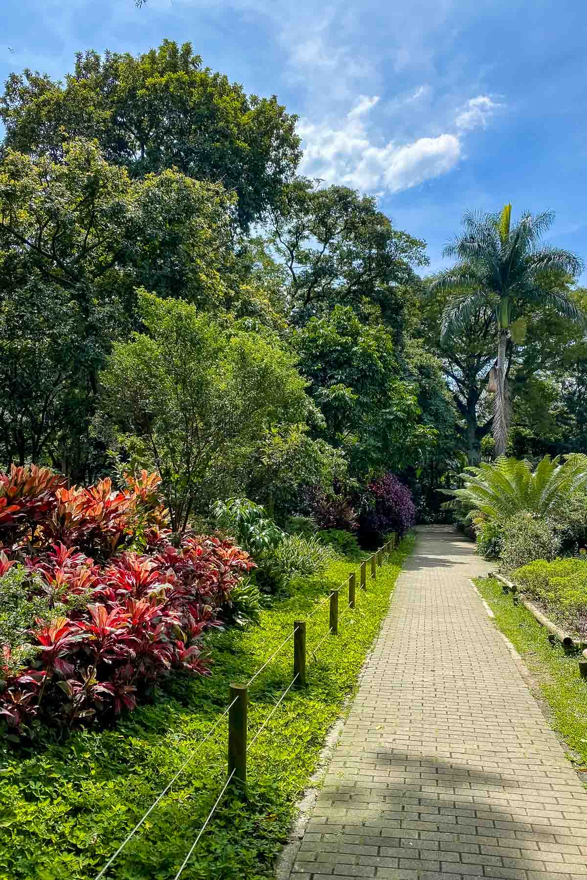 Walkway in Jardin Botanico de Medellin