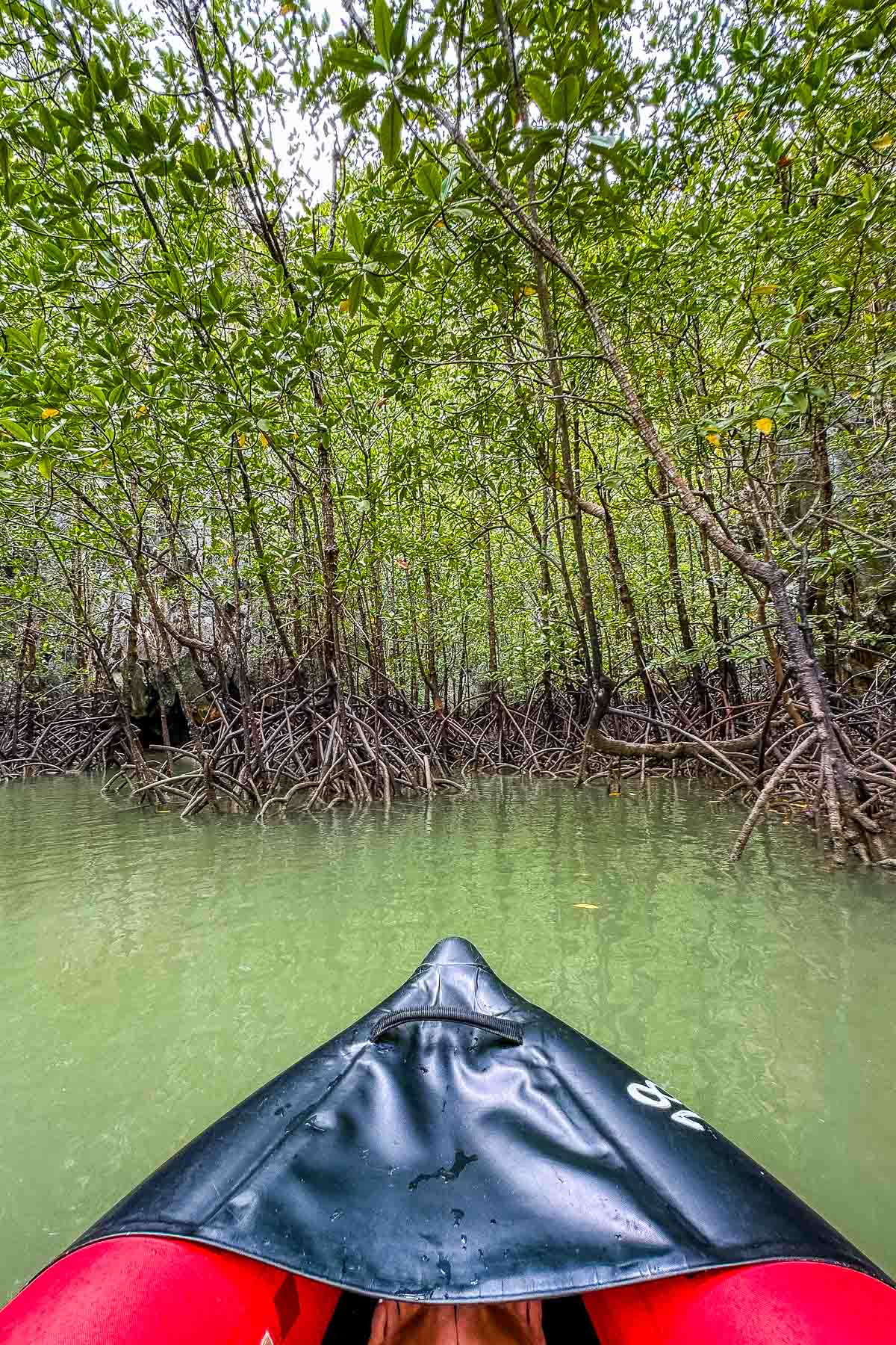 Kayaking among the mangrove trees in Ko Thalu Ok, Thailand