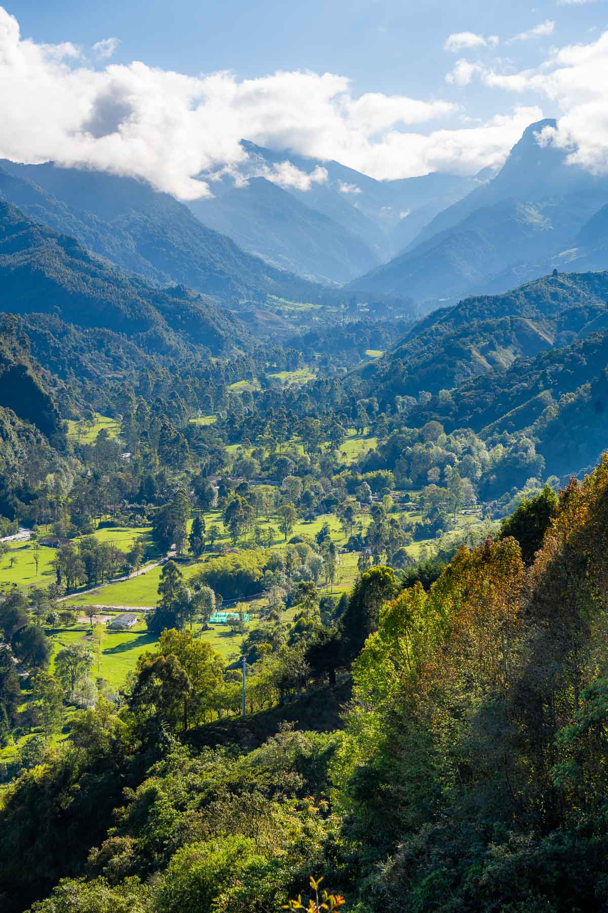View of the lush green valley from Mirador de Salento
