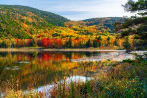 Best Things to Do in Acadia National Park in the Fall