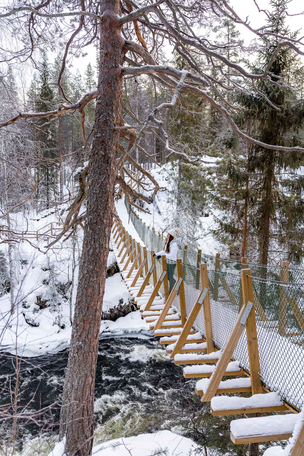 A woman crosses a snowy suspension bridge above the flowing Myllykoski Rapids in Oulanka National Park, Lapland, with tall trees framing the scene.