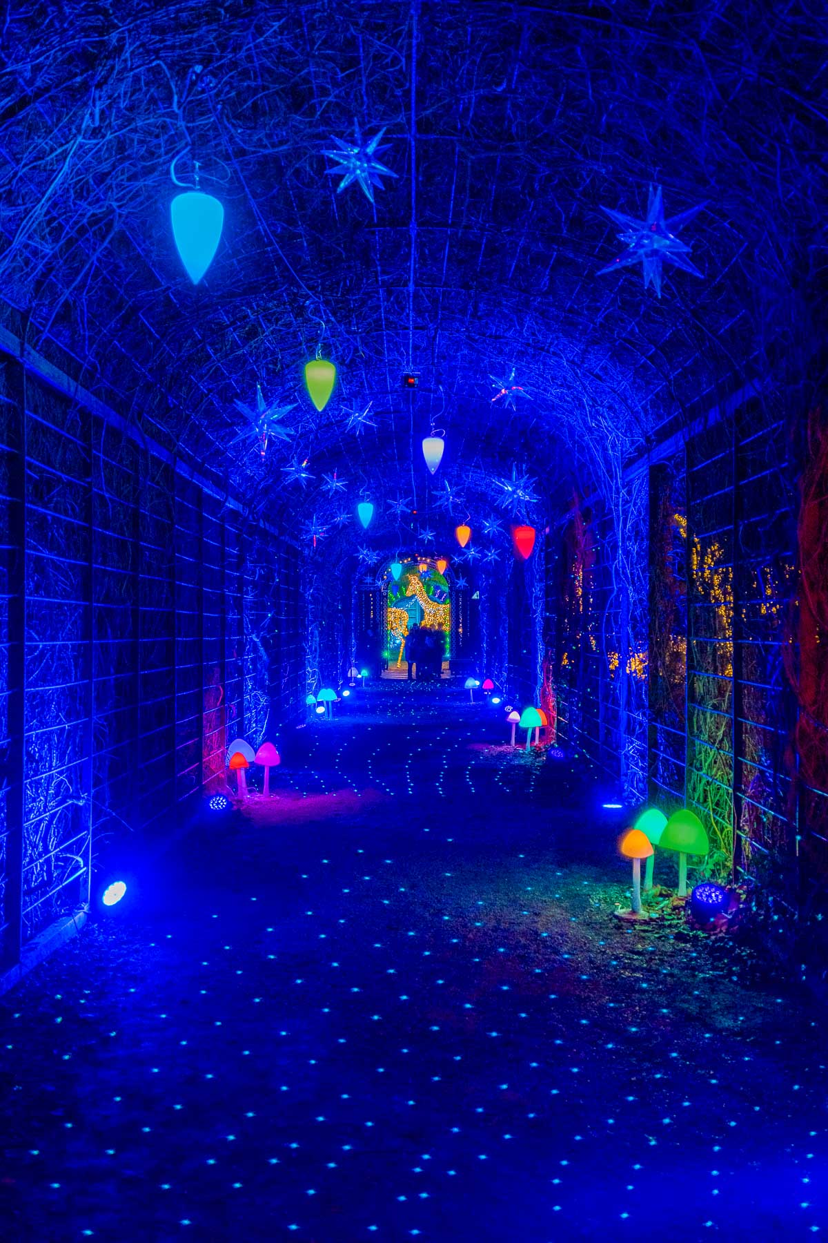 Winter Wonderland in Schönbrunn, Vienna