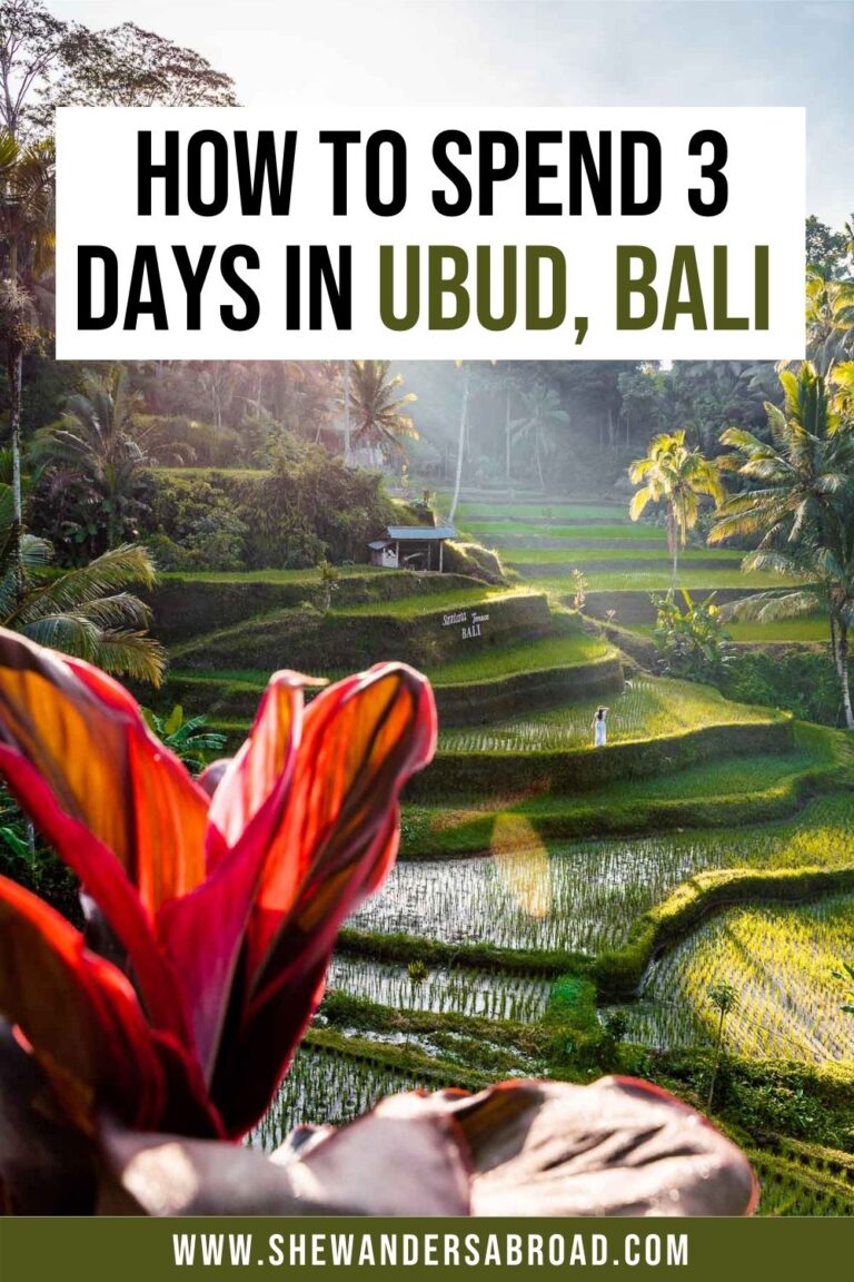 The Perfect 3 Days in Ubud Itinerary for First Timers
