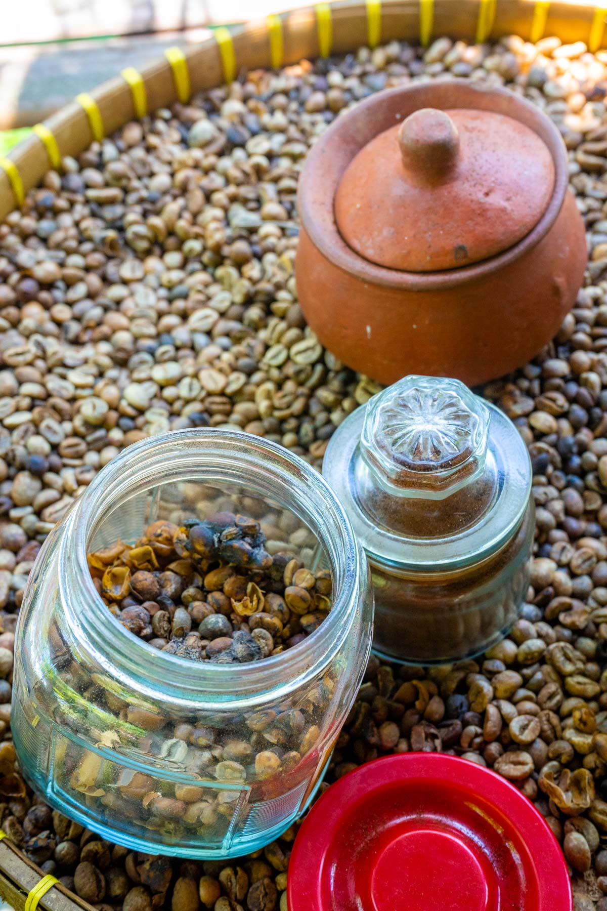 Luwak coffee beans at Bali Pulina