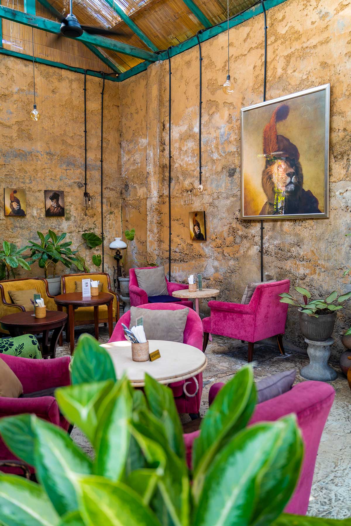 Lazy Cats Cafe in Ubud, Bali