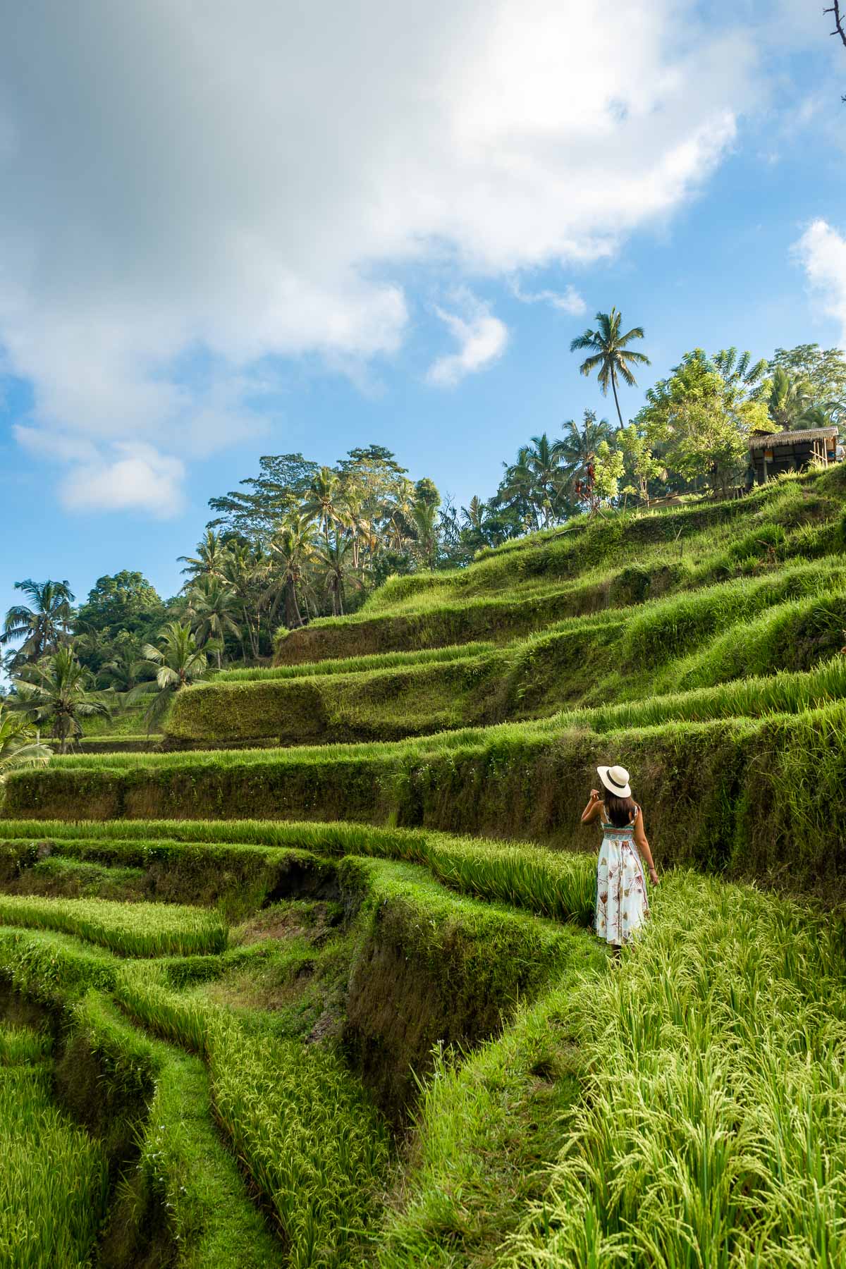 Girl at the Tegallalang Rice Terraces, Bali