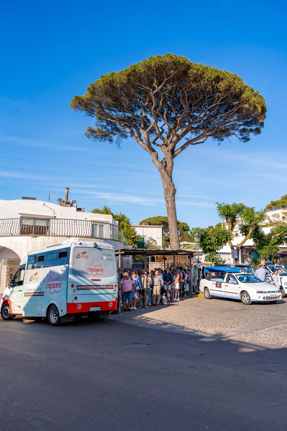 A group of people waiting at a small bus stop in Anacapri, Capri, with a large tree towering over them. A delivery truck and white taxis are parked nearby under a bright blue sky.