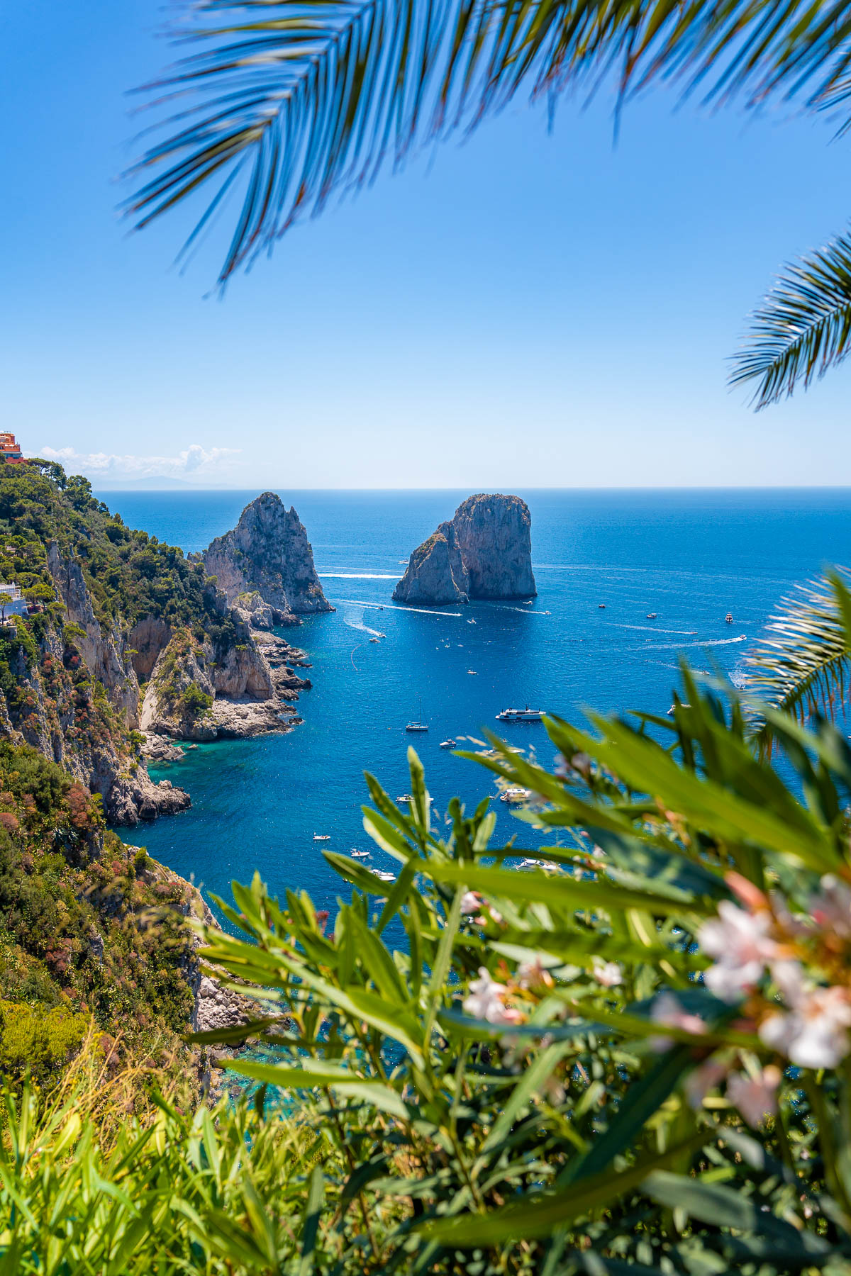 A scenic view of the Faraglioni rock formations from Giardini di Augusto in Capri, framed by lush greenery and palm leaves. Boats are scattered across the deep blue sea.
