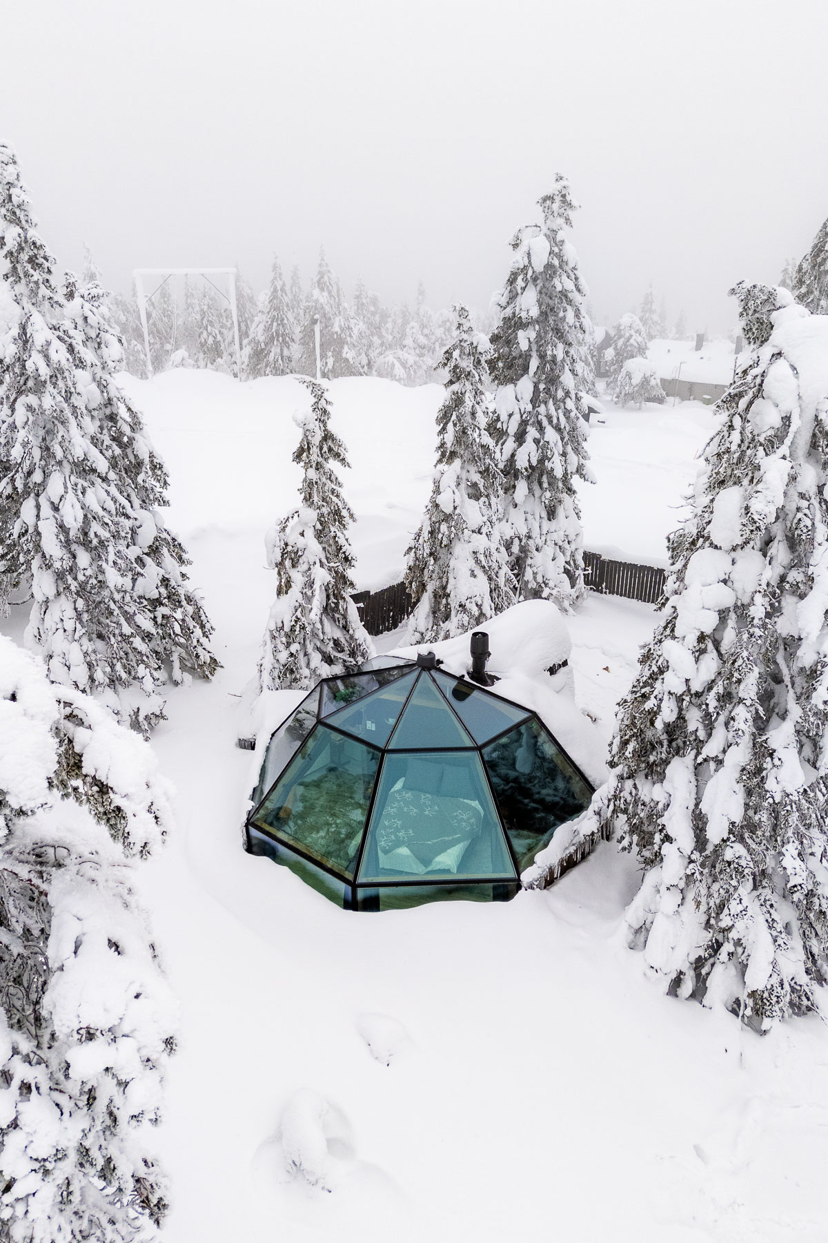 A snow-covered glass igloo nestled among tall trees in Lapland, surrounded by deep snow and winter forest views.