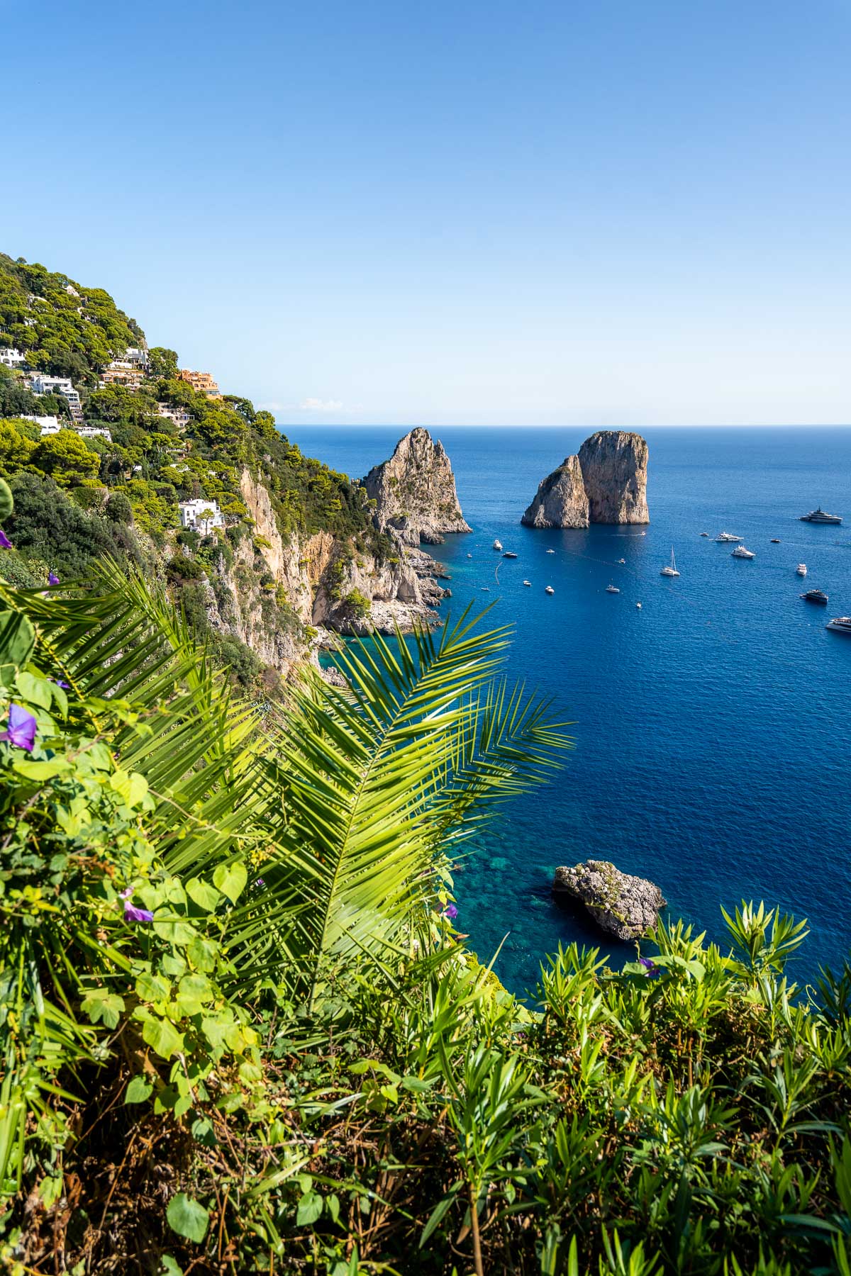 View from Giardini di Augusto in Capri with green plants and palm leaves in the foreground, steep cliffs along the coast, the Faraglioni rocks in the distance, and deep blue sea below.