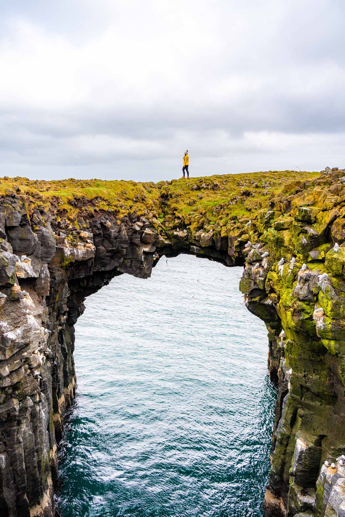 A person in a yellow jacket stands on the stone arch at Arnarstapi, Iceland above the ocean, with mossy cliffs and seabirds around.