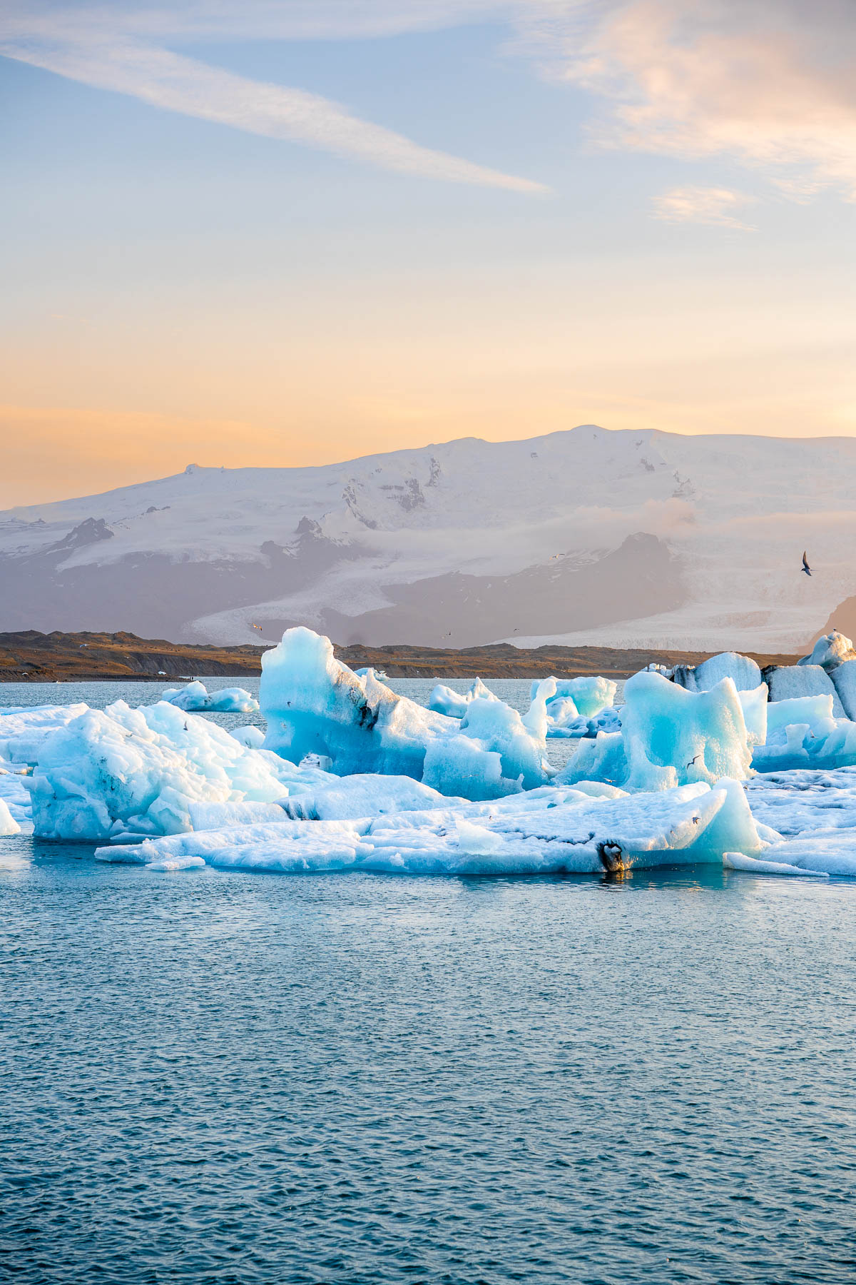 Large blue icebergs float in the water at Diamond Beach, Iceland with snow-covered mountains and a soft sunset sky behind them.
