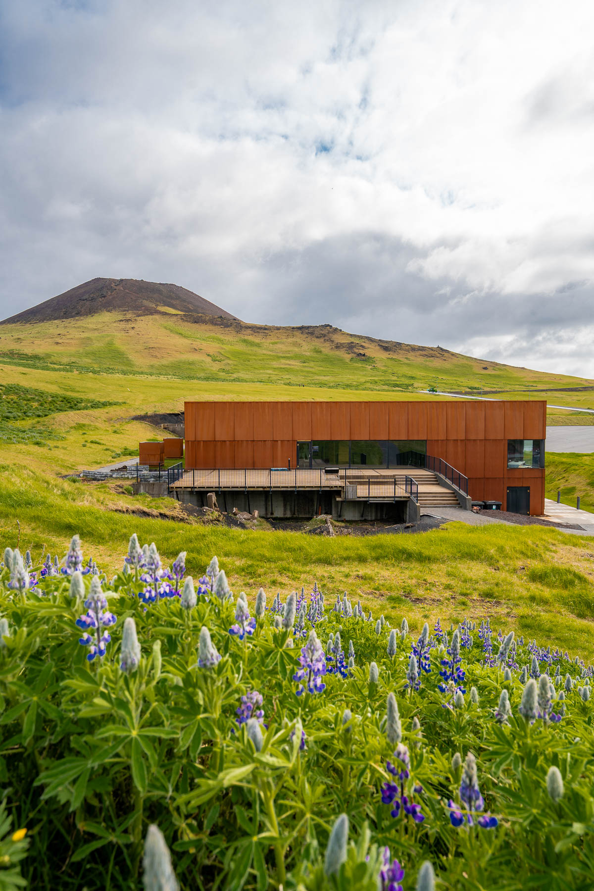 The modern rust-colored building of Eldheimar Museum, Heimaey stands among green hills with purple lupins in the foreground.