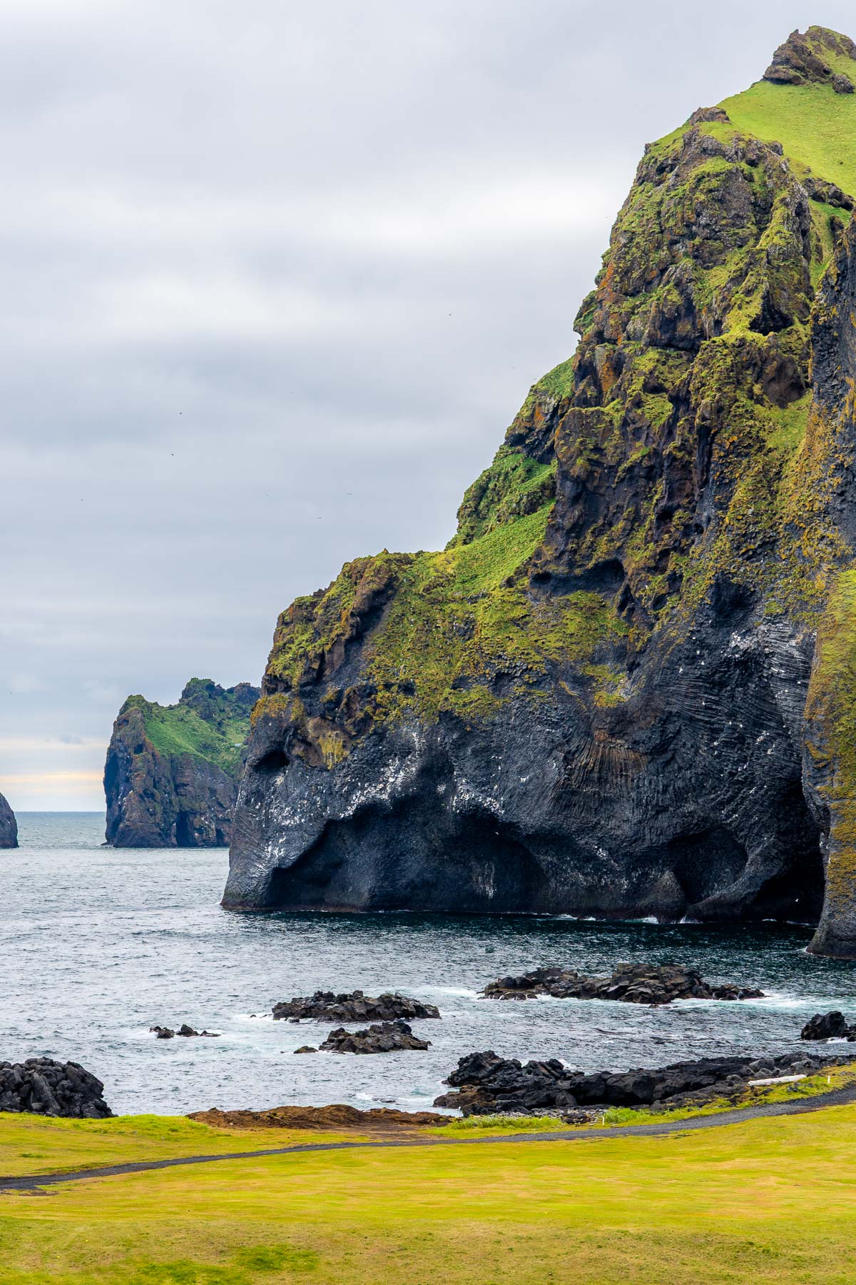 The large cliff formation known as Elephant Rock, Iceland rises from the ocean with dark volcanic rock and green moss covering its surface.
