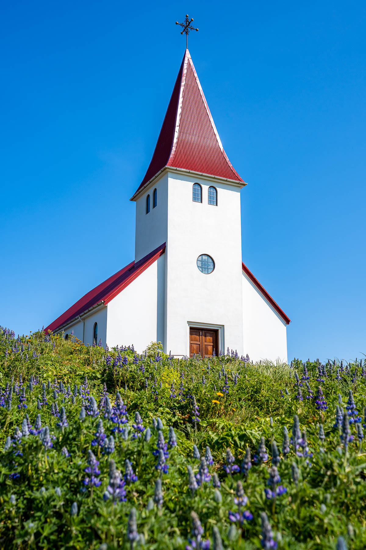 Vik i Myrdal Church, Iceland, with its white walls and red roof, rises above a hillside covered in purple lupines under a clear blue sky.